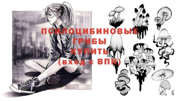 ГАЛЛЮЦИНОГЕННЫЕ ГРИБЫ Абаза