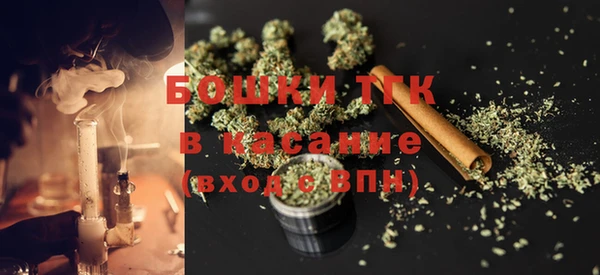 ГАЛЛЮЦИНОГЕННЫЕ ГРИБЫ Абаза