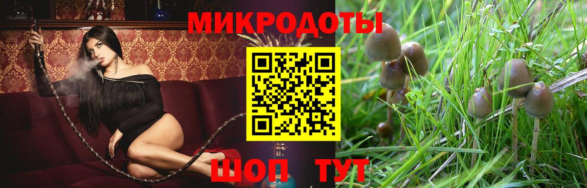 Псилоцибиновые грибы Cubensis Чебаркуль